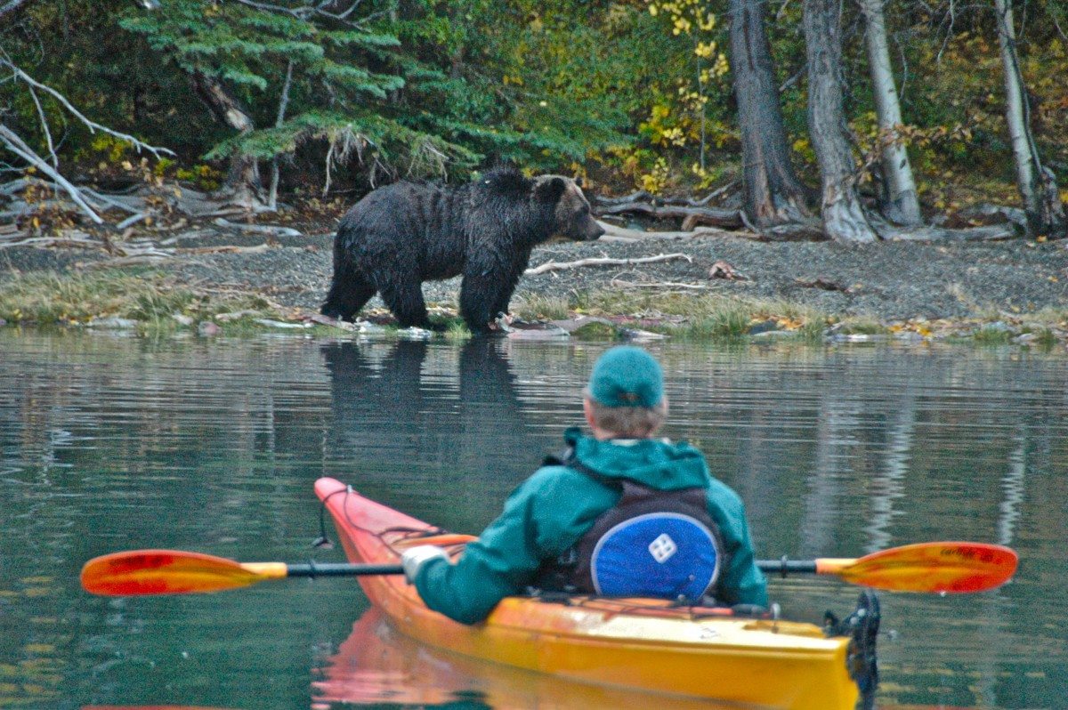 At Bear Camp on Chilko Lake, in BC’s Chilcotin region, guests can watch grizzlies feast on salmon from riverside cabins.