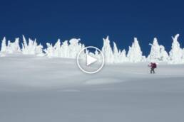 skiing past snow ghosts in the kootenay region of British Columbia