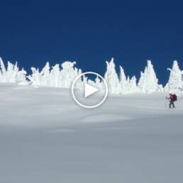 skiing past snow ghosts in the kootenay region of British Columbia