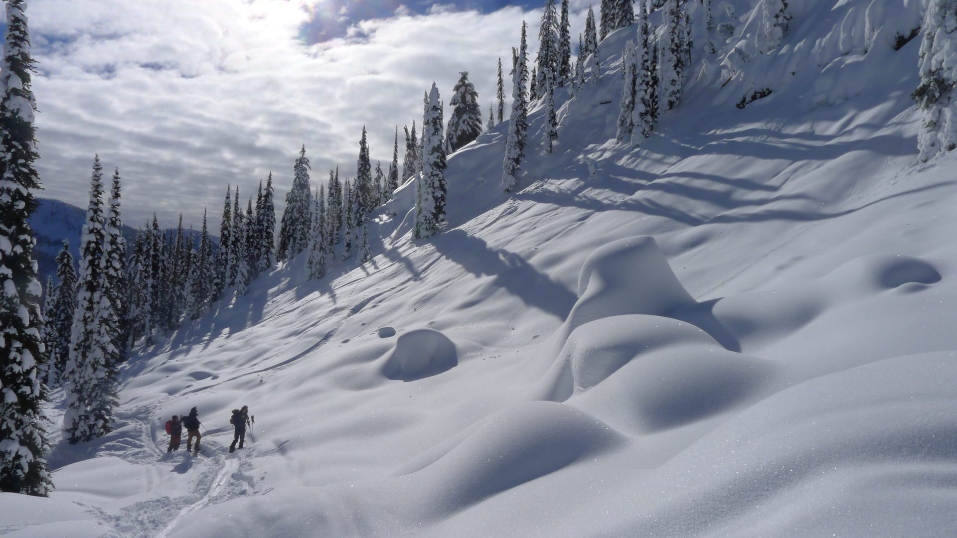 Kootenay Coldsmoke Powder Festival 2017 Pics & Vids - Kootenay Mountain ...