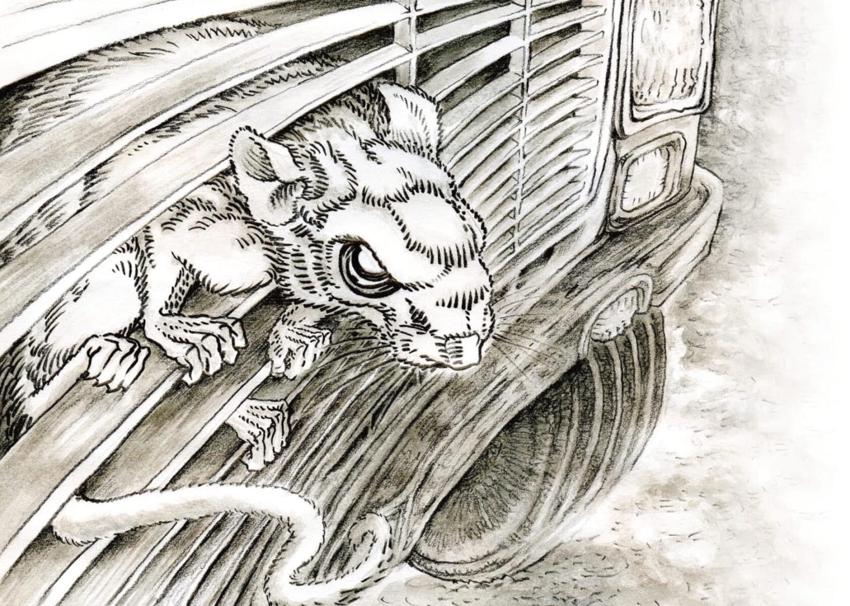 The Master of Menace: An Ode to the F*#!$% Pack Rat - Kootenay